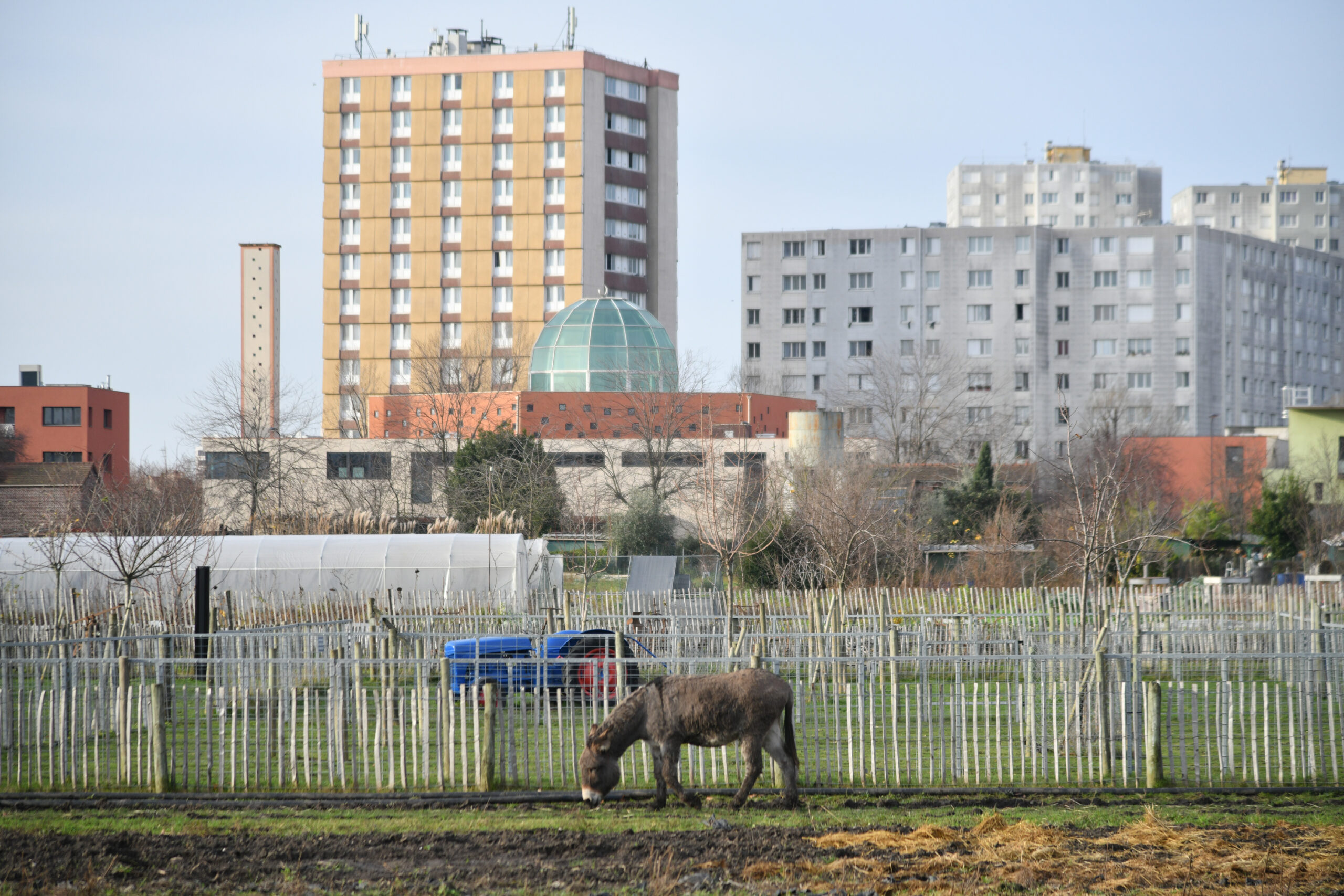 Bally Bagayoko - Ensemble Retrouvons l'espoir - Saint-Denis - Pierrefitte - 2026